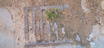 El PP pone a raya a Bellido y le pide que limpie Azuqueca