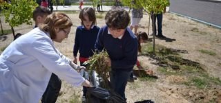 El Colegio Villa de Quer celebra el Día del Árbol