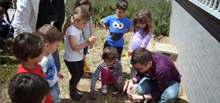 El Colegio Villa de Quer celebra el Día del Árbol