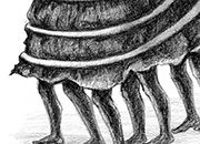 Bienal por el cambio