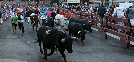 (Foto: Guadanews (www.eduardobonillaruiz.com))
