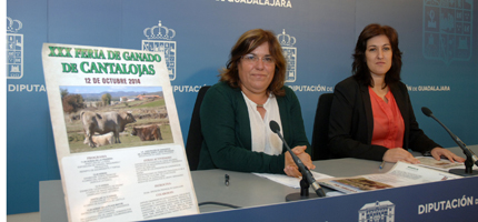  (Foto: Diputación provincial)