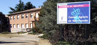 Centro Agrario de Marchamalo. (Foto: Gobierno regional.)