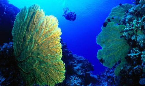 Sabemos más de Marte que de la geografía marina