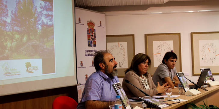 Una guía recoge los árboles y arboledas más singulares del Geoparque de la Comarca de Molina-Alto Tajo