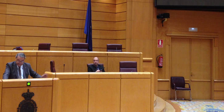 Juan Antonio de las Heras durante su intervencion en el Senando. (Foto: PP)