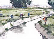 Ya está en marcha la VI Semana Cultural gallarda