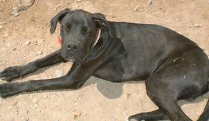 Las miradas más sinceras