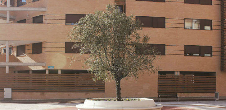 La plaza de la Encina de Valdeluz se transforma en un espacio acogedor, funcional y útil