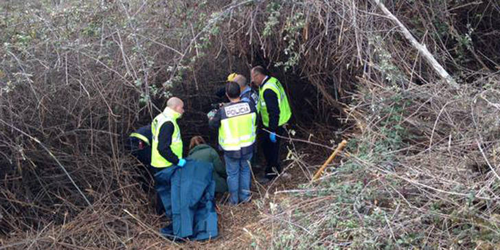 (Foto: CEIS Guadalajara)