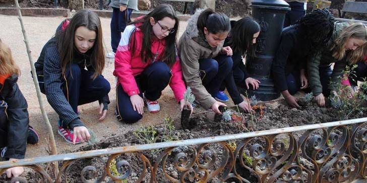 El Día del Árbol seguntino le pone el broche de oro a la recuperación de la Plaza de la Sinagoga