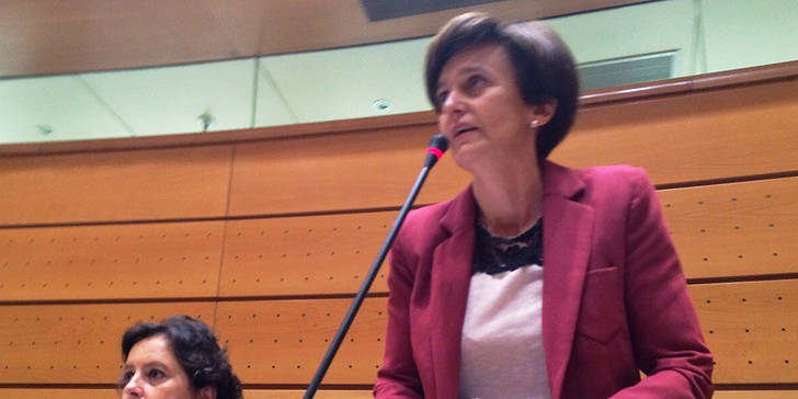 Ana Gonzalez durante su intervención de hoy en el pleno del Senado.