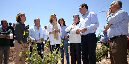 Cospedal anuncia un paquete de medidas para los agricultores afectados por la tormenta de granizo