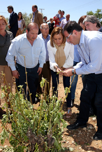 Cospedal anuncia un paquete de medidas para los agricultores afectados por la tormenta de granizo