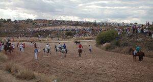 Abaten al toro que se escapó el domingo del Encierro de Brihuega