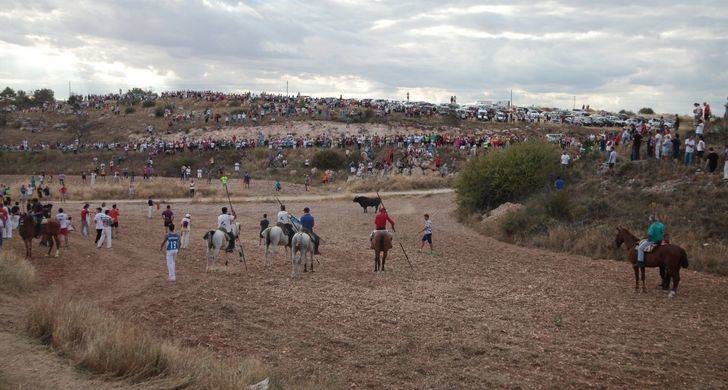 Abaten al toro que se escapó el domingo del Encierro de Brihuega