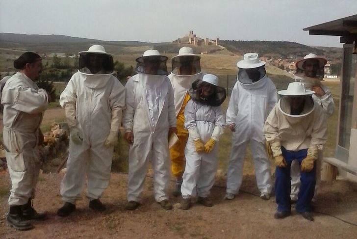 Diez personas se inician en el mundo de la apicultura en Molina 