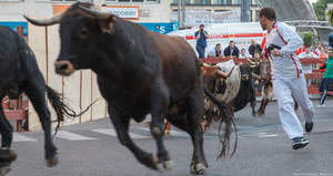 El primer encierro de las Ferias y Fiestas, limpio y sin heridos