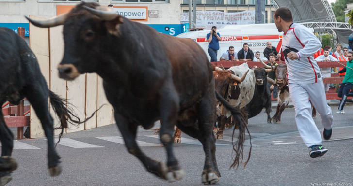 El primer encierro de las Ferias y Fiestas, limpio y sin heridos
