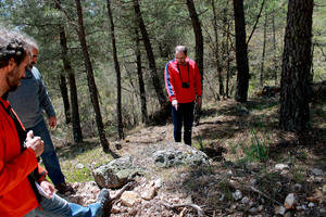 La situación del bosque fósil de la Sierra de Aragoncillo llega al Congreso de los Diputados
