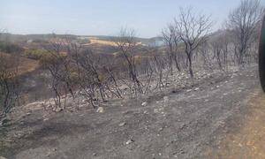 Continúa la vigilancia en la zona del incendio de Humanes, pese a estar extinguido
