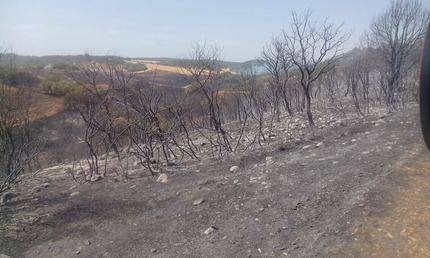 Continúa la vigilancia en la zona del incendio de Humanes, pese a estar extinguido