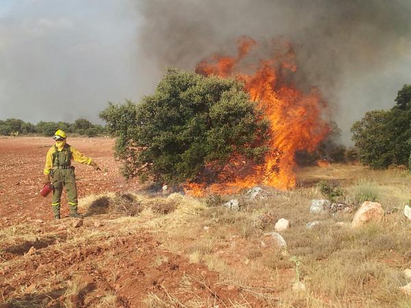 Extinguido a las 21.02 horas de este viernes el incendio de Loranca de Tajuña