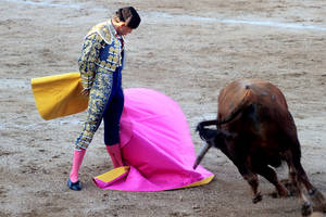Dos orejas en una novillada - concurso de Cabanillas, donde el ganado no permitió más