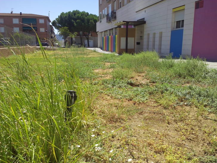 El PP de Azuqueca denuncia el “penoso estado de abandono” en que se encuentra una zona tutelada por el Ayuntamiento 