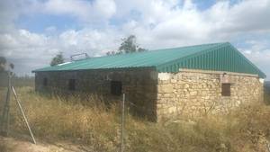 La Diputación lleva a cabo nuevas obras hidráulicas y de pavimentación en Olmeda de Cobeta, Ciruelos del Pinar y Luzaga