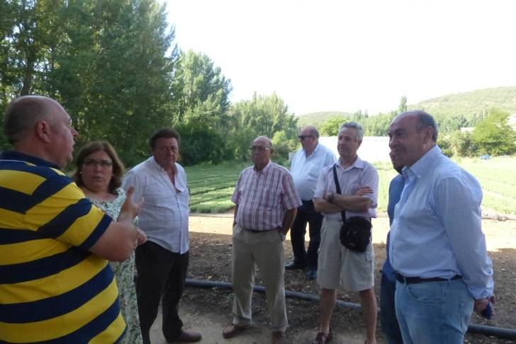 El presidente de la Diputación se interesa por las posibilidades del cultivo del espliego como fuente de desarrollo rural 