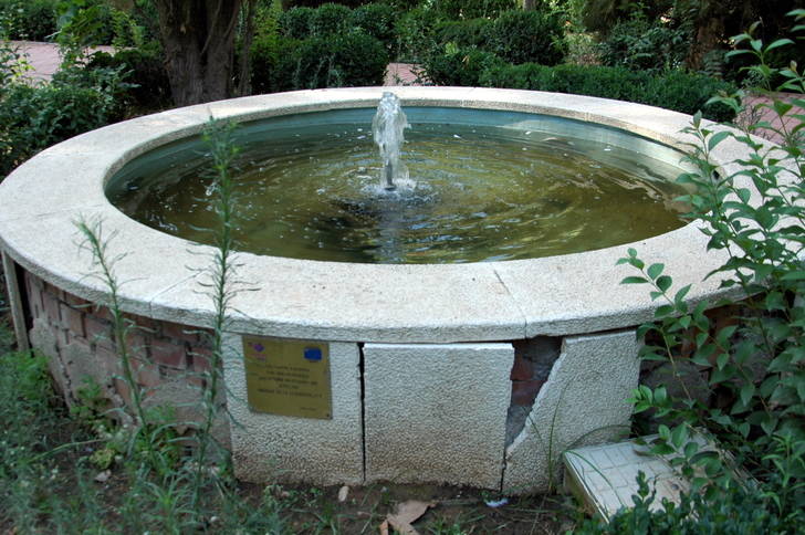 El PP de Azuqueca alerta del lamentable y vergonzoso estado del Parque de la Quebradilla