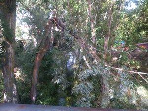 El 1-1-2 atendió más de 160 incidentes por viento y lluvia en las provincias de Toledo y Guadalajara