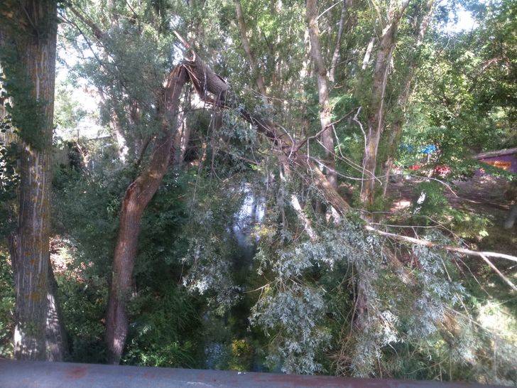 El 1-1-2 atendió más de 160 incidentes por viento y lluvia en las provincias de Toledo y Guadalajara