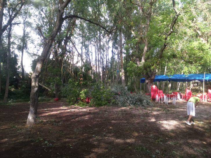 El 1-1-2 atendió más de 160 incidentes por viento y lluvia en las provincias de Toledo y Guadalajara