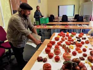 Los adjudicatarios de los huertos urbanos de Valdeluz realizan una cata de tomates