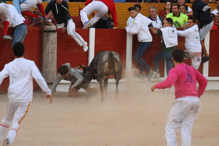 Ningún herido y gran afluencia de público en el último encierro de las Ferias de Guadalajara