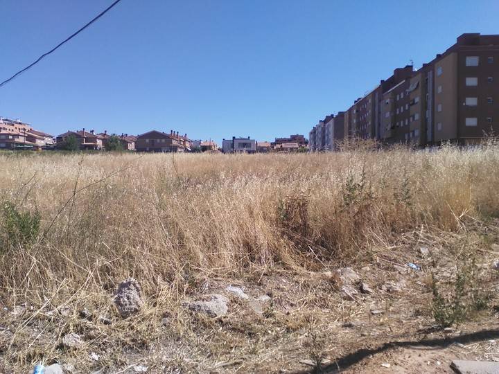 Ciudadanos de Guadalajara, preocupados por el estado de algunas parcelas y solares