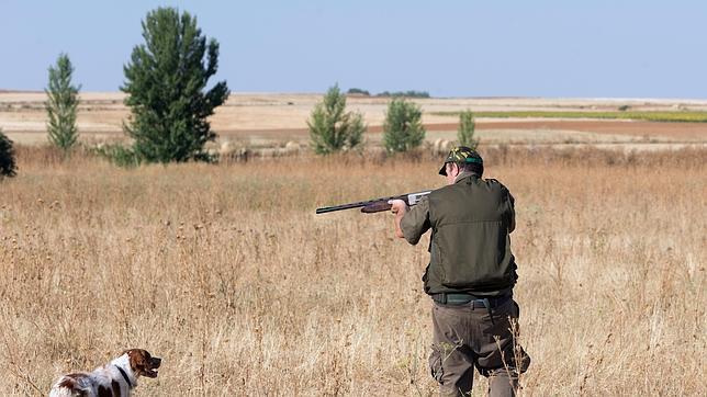 Una cazador resulta herido en la mano tras un disparo fortuito de un compañero en Brihuega