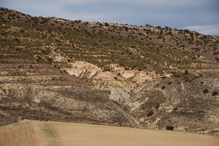 El Estratotipo de Fuentelsaz reclama su urgente protección en el Congreso de los Diputados