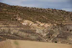 El Estratotipo de Fuentelsaz reclama su urgente protección en el Congreso de los Diputados