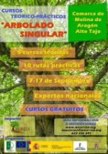 Cinco cursos sobre Arbolado Singular arrancan en la Comarca de Molina de Aragón-Alto Tajo este mes de septiembre