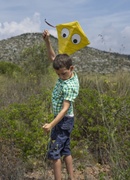 Un día perfecto para volar
