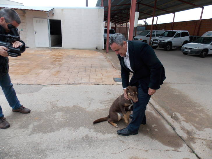 Hogar amigo será el nombre del núcleo zoológico de la Mancomunidad Vega del Henares
