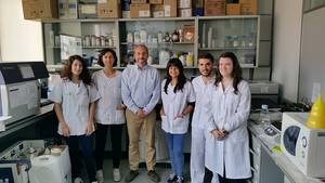 Facultativos del Hospital de Albacete estudian un nuevo fármaco contra el cáncer de mama