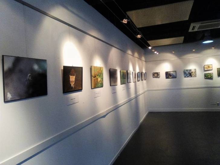 El mundo animal sin artificios en la Sala de Exposiciones del Centro Cultural de Valdeluz