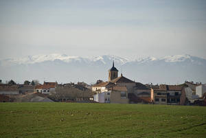 La Policía Nacional detiene a un hombre en El Casar con 25 kilos de cannabis