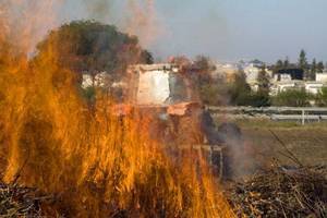 Las malas hierbas hacen que los agricultores de la provincia pidan poder quemar m&#225;s rastrojos