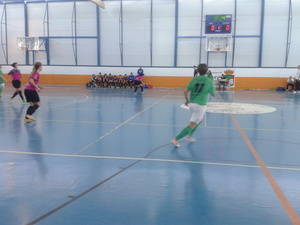 Reparto de puntos en La Dehesa