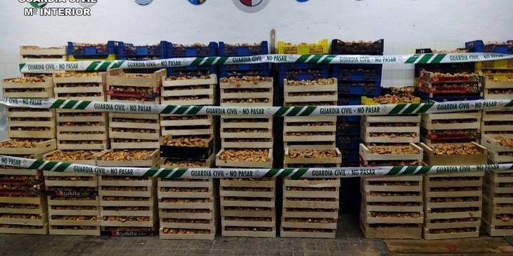 La Guardia Civil denuncia a 42 personas por comerciar con níscalos sin autorización en Guadalajara